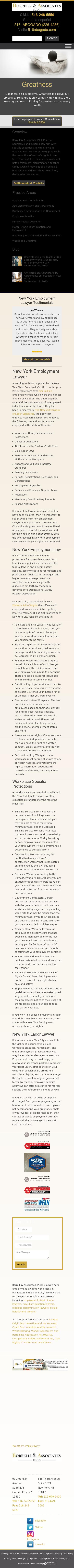Borrelli & Associates, P.L.L.C. - Great Neck NY Lawyers
