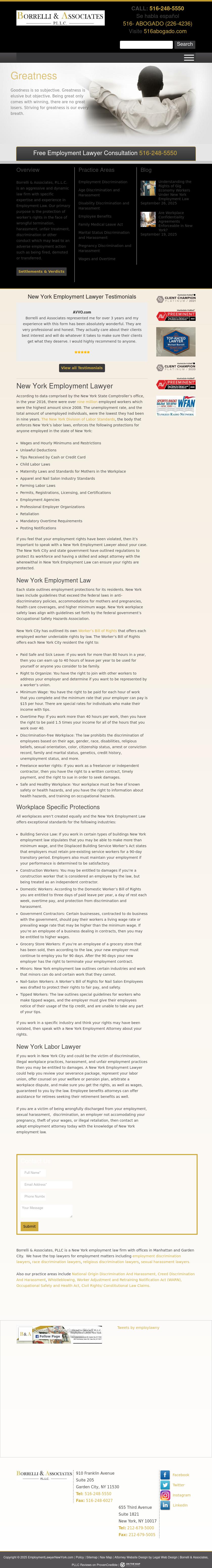 Borrelli & Associates, P.L.L.C. - Great Neck NY Lawyers